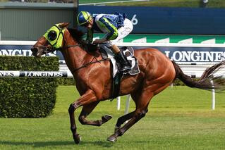 Luvaluva (NZ) took her stakes earnings past A$700,000 in G3 Summer Cup. 